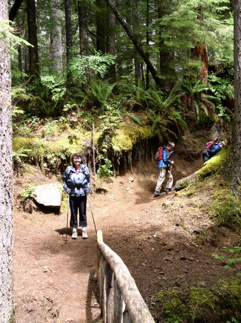 5.29.06 Siouxon Creek 003 